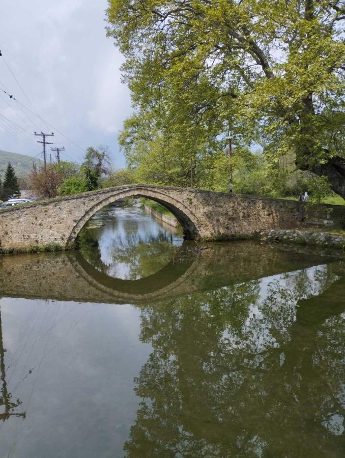 Ευελη Daire Vodina Dış mekan fotoğraf